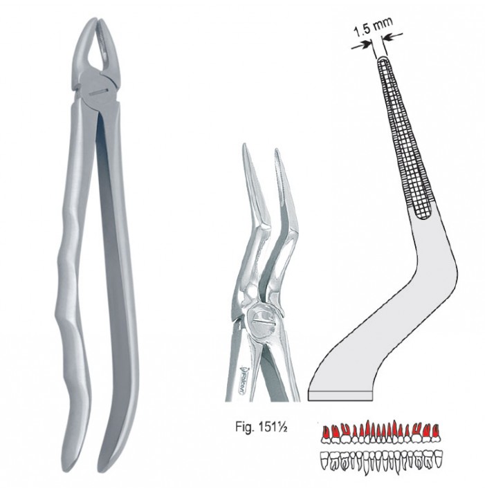 Extracting forceps with anatomical handle fig. 151 1/2