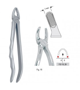 Extracting forceps with anatomical handle fig. 19