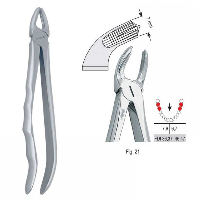 Extracting forceps with anatomical handle fig. 21