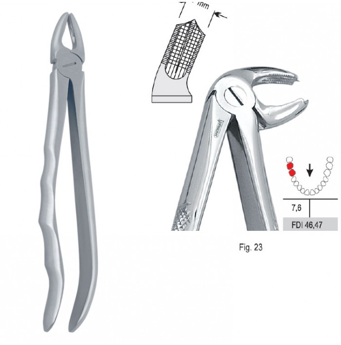 Extracting forceps with anatomical handle fig. 23