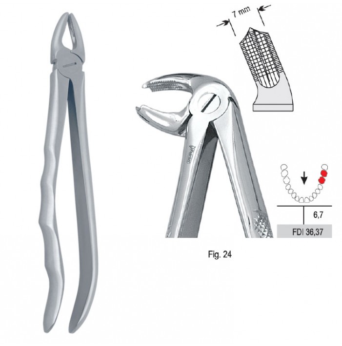 Extracting forceps with anatomical handle fig. 24
