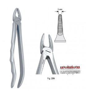 Extracting forceps with anatomical handle fig. 29N