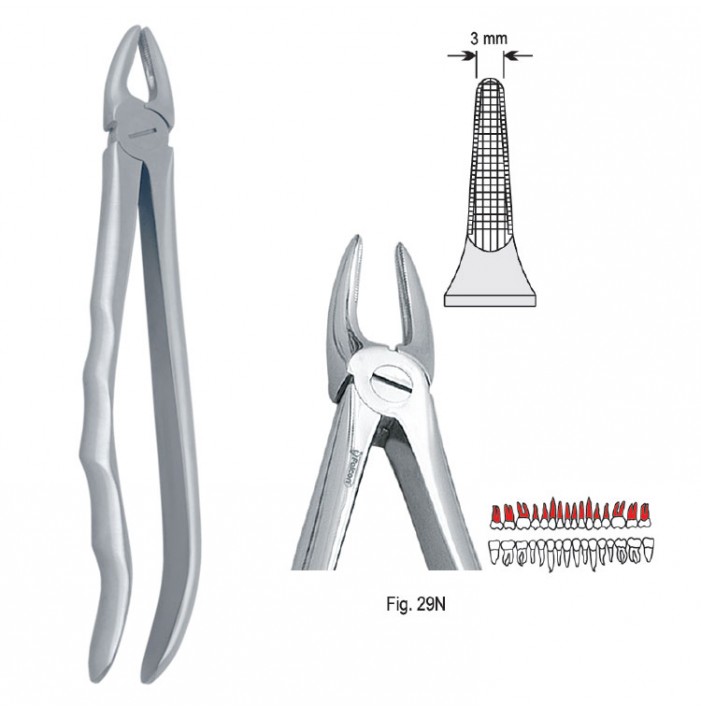 Extracting forceps with anatomical handle fig. 29N
