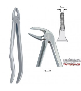 Extracting forceps with anatomical handle fig. 33M