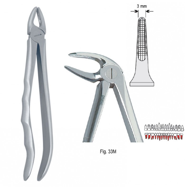 Extracting forceps with anatomical handle fig. 33M