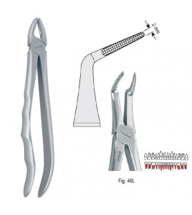 Extracting forceps with anatomical handle fig. 46L