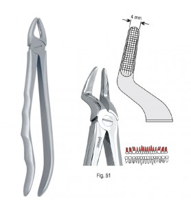 Extracting forceps with anatomical handle fig. 51