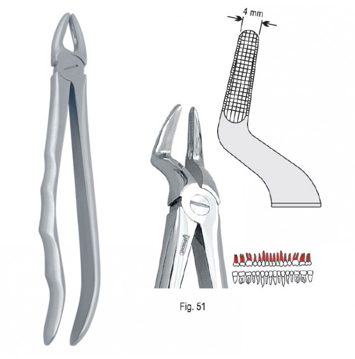 Extracting forceps with anatomical handle fig. 51
