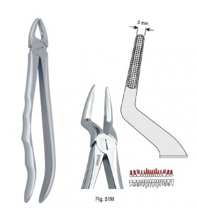 Extracting forceps with anatomical handle fig. 51M