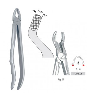 Extracting forceps with anatomical handle fig. 67