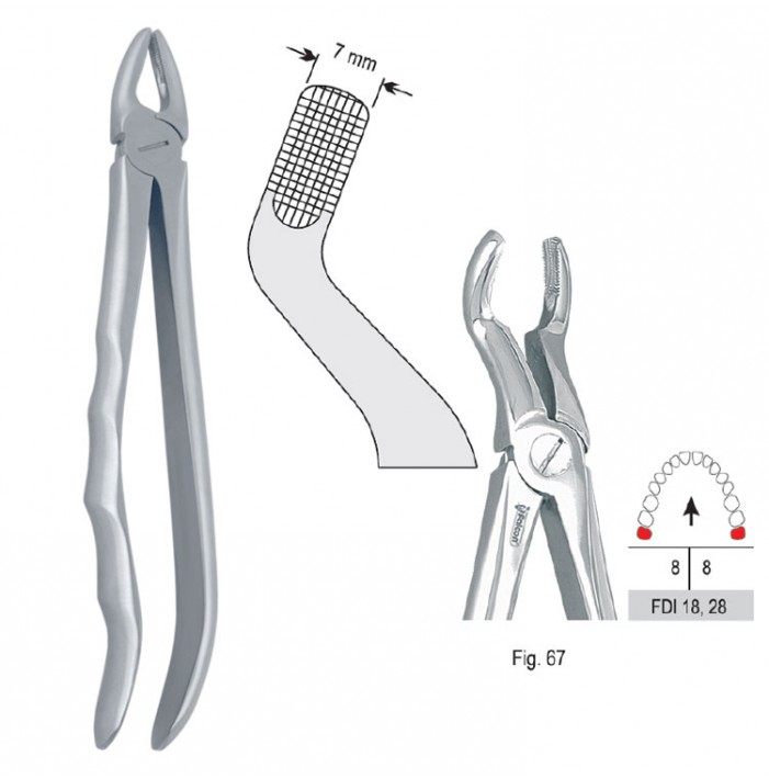 Extracting forceps with anatomical handle fig. 67