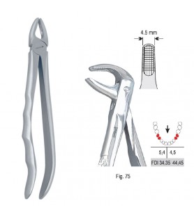 Extracting forceps with anatomical handle fig. 75