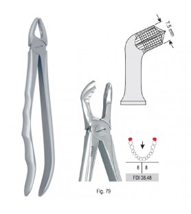Extracting forceps with anatomical handle fig. 79