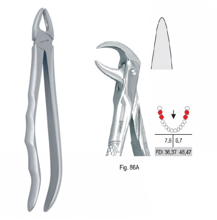 Extracting forceps with anatomical handle fig. 86A