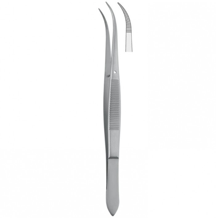 Forceps dissecting Falcon-Pointed serrated curved 150mm