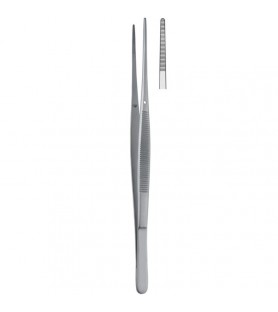 Forceps dissecting Taylor serrated straight 170mm