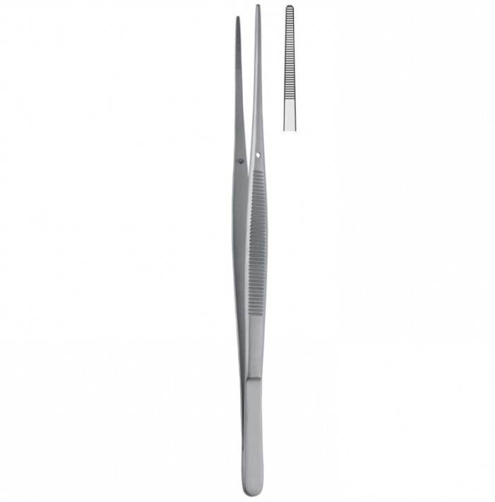 Forceps dissecting Taylor serrated straight 170mm
