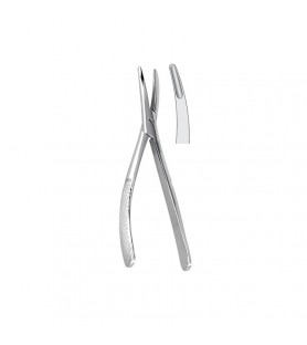Extraction forceps for cats...