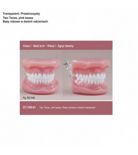 Real Series Model ortodontyczny, baza różowa, klasa I zgryz idealny