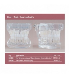 Real Series Model ortodontyczny baza różowa klasa I wg Angle'a
