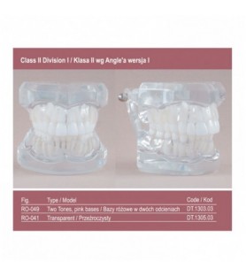 Real Series Model ortodontyczny baza różowa klasa II wg Angle'a wersja I