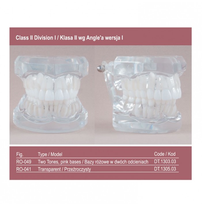 Real Series Model ortodontyczny, baza różowa, klasa II wg Angle'a wersja I