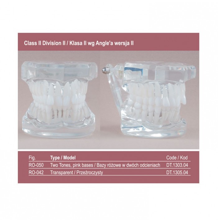 Real Series Model ortodontyczny, baza różowa, klasa II wg Angle'a wersja II