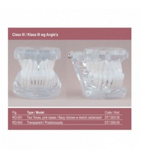 Real Series Model ortodontyczny baza różowa klasa III wg Angle'a