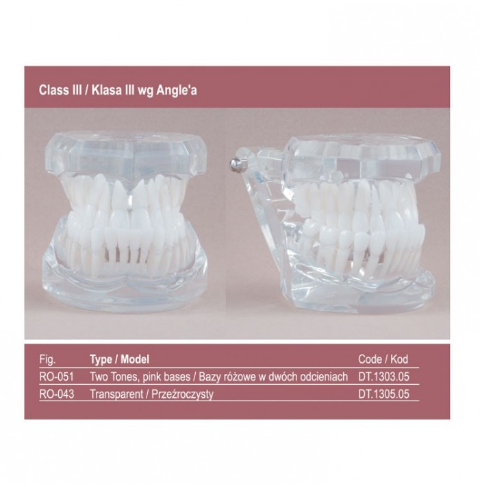 Real Series Model ortodontyczny, baza różowa, klasa III wg Angle'a