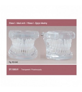 Real Series Model ortodontyczny przeźroczysty klasa I zgryz idealny