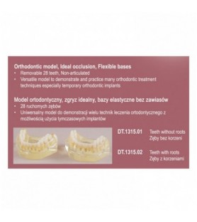 Real Series Orthodontic model flexible base, Class I removable teeth without roots