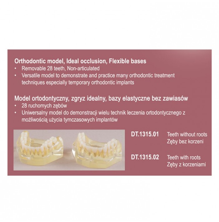 Real Series Model ortodontczny klasa I, baza elastyczna z ruchomymi zębami bez korzeni