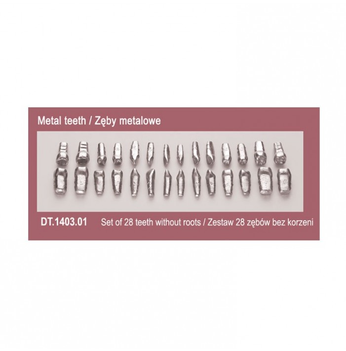 Metal teeth for typodont, set of 28 pieces