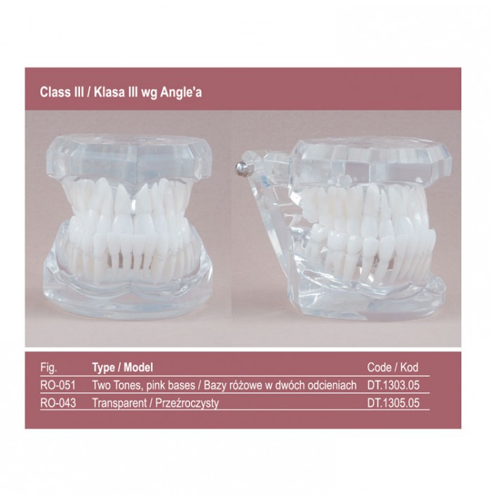 Real Series Model ortodontyczny, przeźroczysty, klasa III wg Angle'a