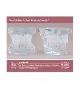 Real Series Model ortodontyczny, przeźroczysty, klasa II wg Angle'a wersja II