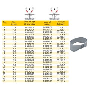 Pierścień Sure-Fit gładki na przedtrzonowce dół 4 5 lewy/prawy