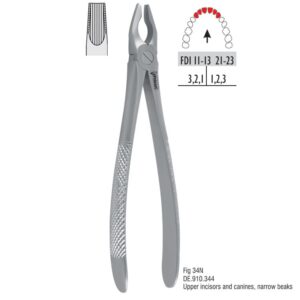 Kleszcze ekstrakcyjne mod. atraumatyczny fig. 34N