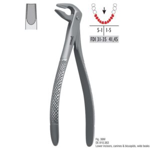 Kleszcze ekstrakcyjne mod. atraumatyczny fig. 36M