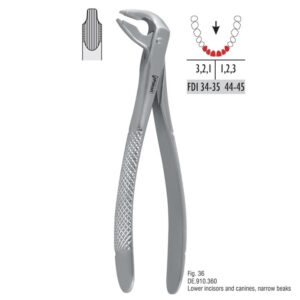 Kleszcze ekstrakcyjne mod. atraumatyczny fig. 36
