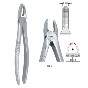 Kleszcze ekstrakcyjne mod. Europejski do zębów przednich górnych wąskie fig. 2