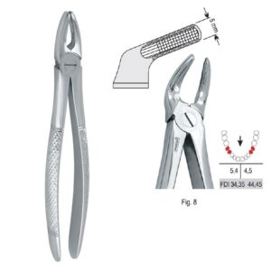 Kleszcze ekstrakcyjne mod. Europejski do zębów przedtrzonowych dolnych fig. 8