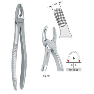 Kleszcze ekstrakcyjne mod. Europejski do zębów mądrości górnych fig. 19