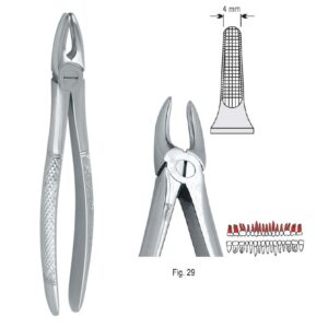 Kleszcze ekstrakcyjne mod. Europejski do korzeni górnych fig. 29