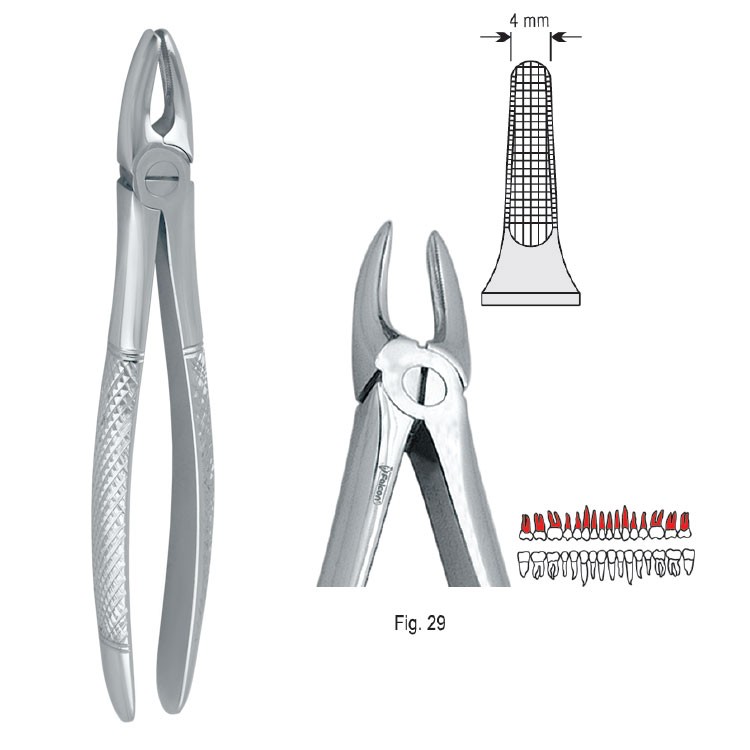 Kleszcze ekstrakcyjne mod. Europejski do korzeni górnych fig. 29