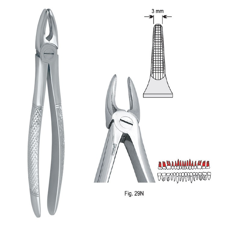 Kleszcze ekstrakcyjne mod. Europejski do do korzeni górnych wąskie fig. 29N