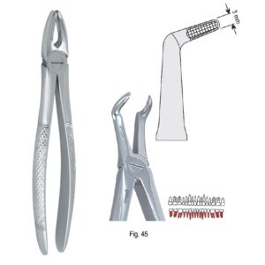 Kleszcze ekstrakcyjne mod. Europejski do korzeni dolnych fig. 45