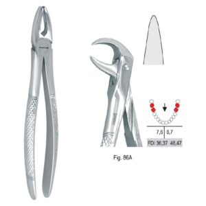 Kleszcze ekstrakcyjne mod. Europejski do zębów trzonowych dolnych fig. 86A