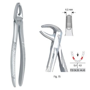 Kleszcze ekstrakcyjne mod. Europejski do zębów przedtrzonowych dolnych fig.75