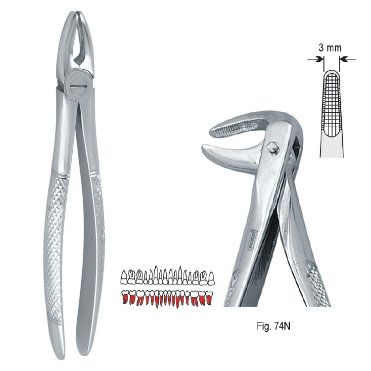 Kleszcze ekstrakcyjne mod. Europejski do korzeni dolnych fig. 74N