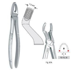 eszcze ekstrakcyjne mod. Europejski do zębów mądrości górnych fig. 67A